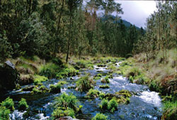 Rio Bao, Madre de las Aguas