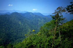 Sierra de las Minas