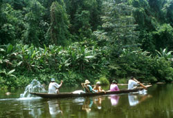 Río Plátano