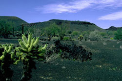 Cenizas y lava