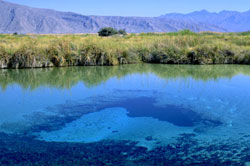Manantial de agua dulce 