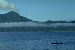 Atlantic Forest