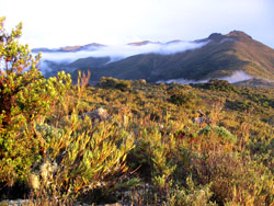 La Amistad International Park/Bocas del Toro