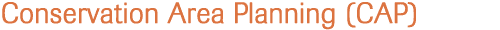 Conservation Area Planning (CAP)