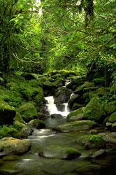 river, Central America