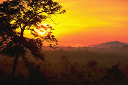 Bahia del Garcero, Noel Kempff Mercado