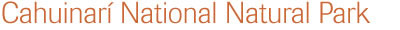 Cahuinari National Park