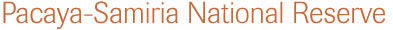 Pacaya-Samiria National Reserve